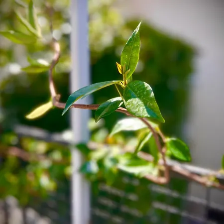 Budget Retreat & Hotel *