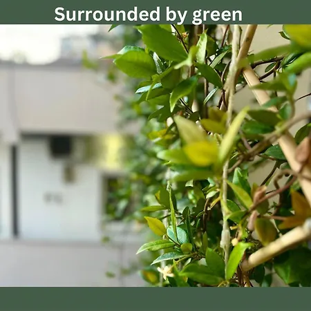 Budget Retreat & ホテル ティラナ