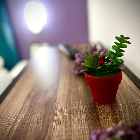 Hotell Budget Retreat & Tirana