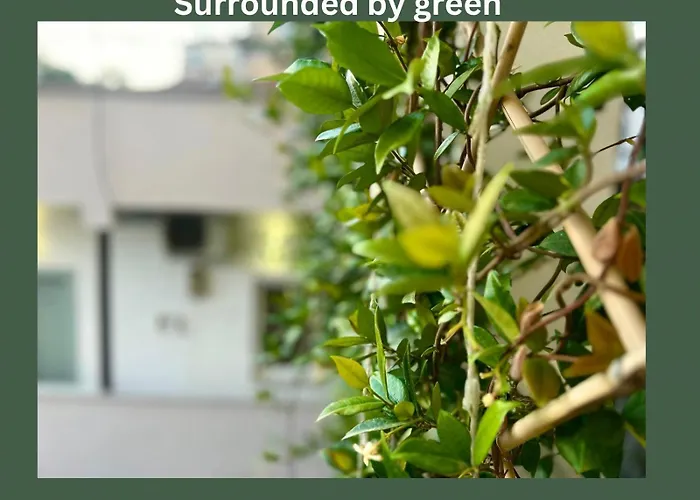 Budget Retreat & 호텔 티라나